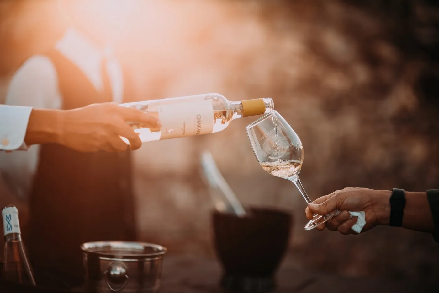 Wine Tasting com Sommelier