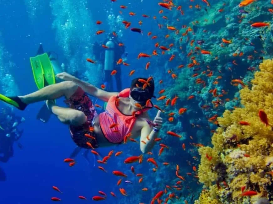 Passeio de barco com snorkel